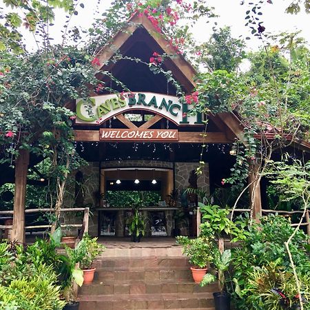 Ian Anderson Caves Branch Jungle Lodge 贝尔莫潘 外观 照片